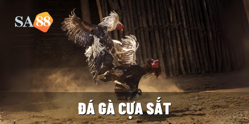 da ga cua sat